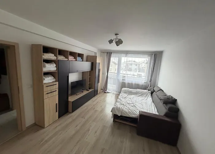 Apartment Aurora Brasov